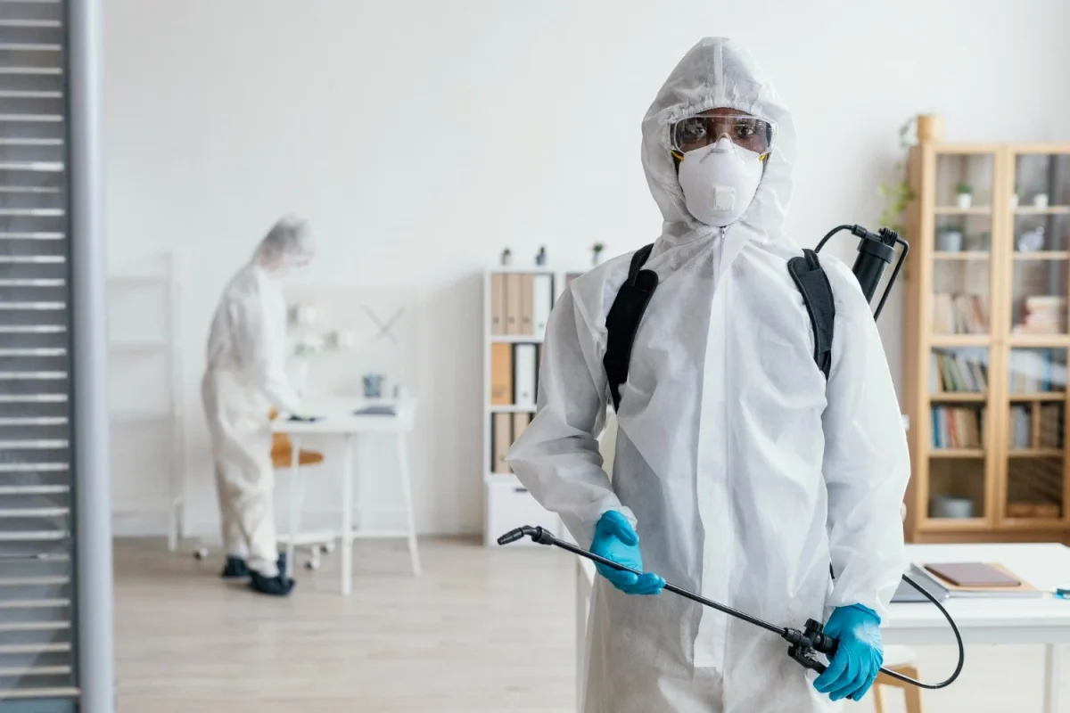 DDD Pitești – Dezinsecție, Deratizare și Dezinfectie pentru orice spațiu