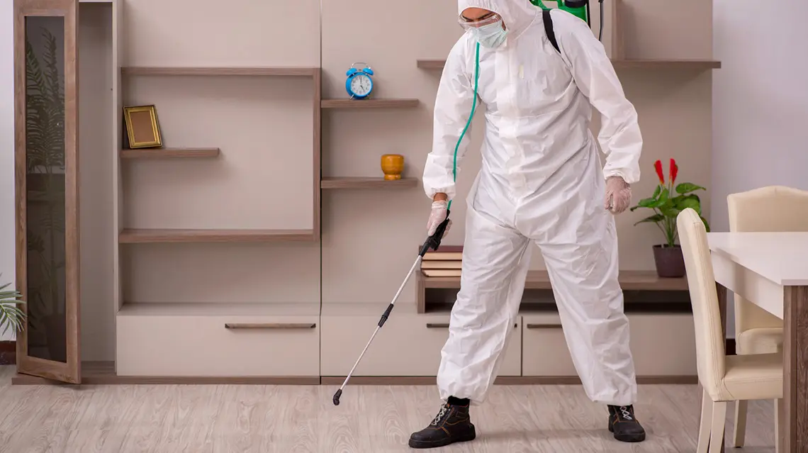 Deratizare și Dezinsecție Ploiești – Soluții eficiente pentru locuințe
