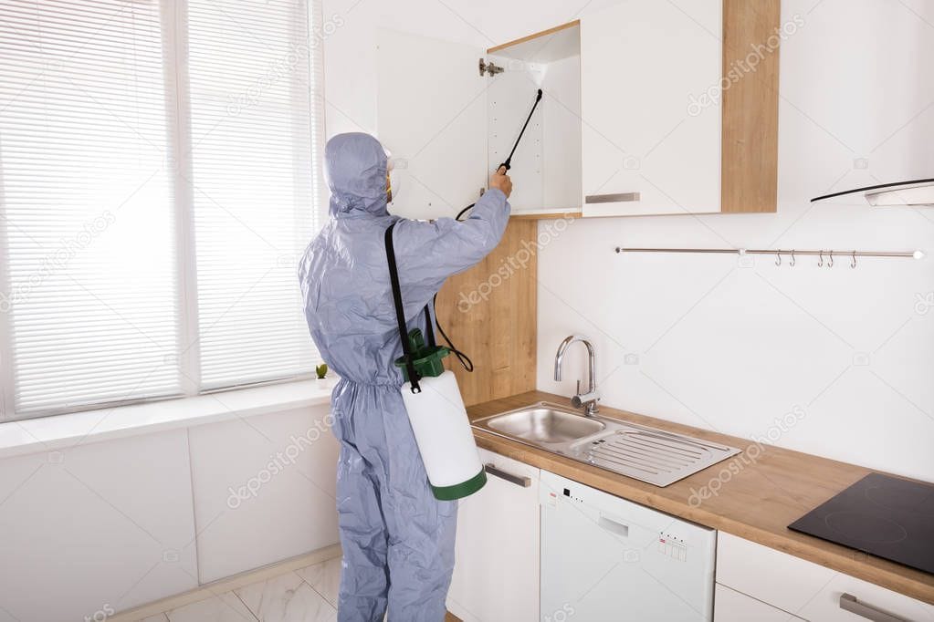 Servicii DDD Buzău Profesionale – Dezinfectie, Dezinsecție și Deratizare