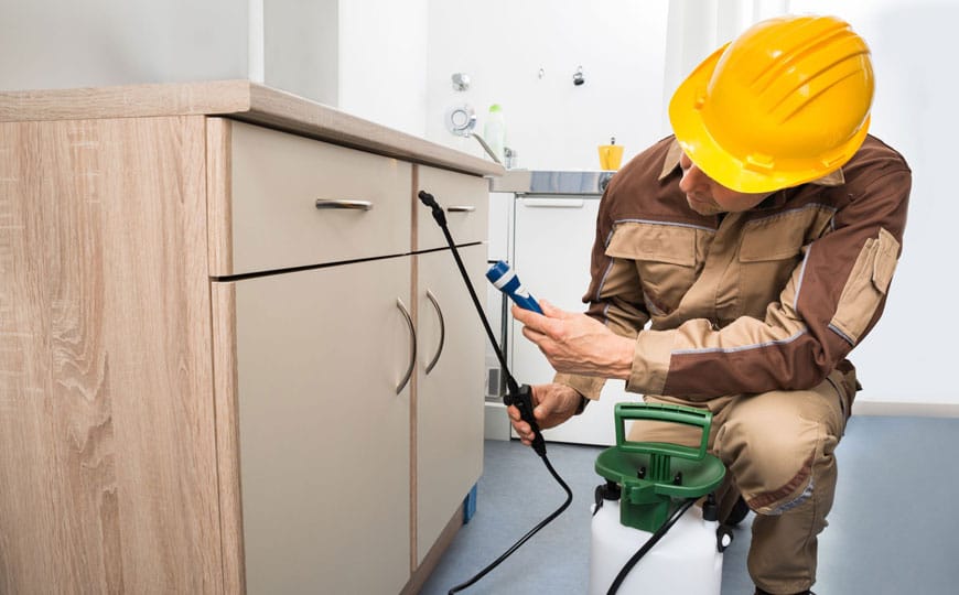Servicii DDD Câmpina – Siguranță și Curățenie pentru Locuințe și Firme