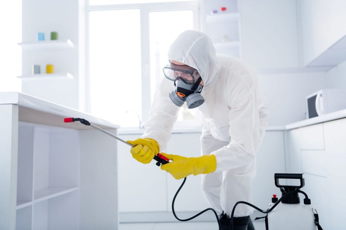 Servicii DDD Constanța – Siguranță rapidă pentru locuințe și firme