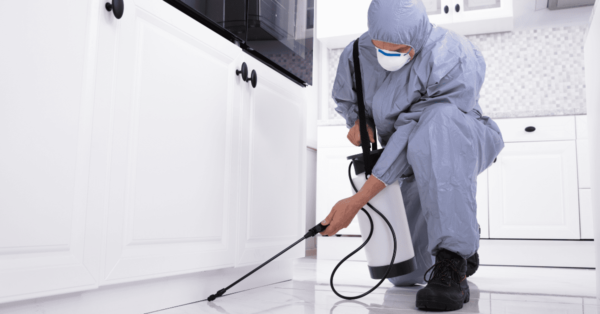 Servicii DDD Dâmbovița – Protecție eficientă pentru casă și afacere